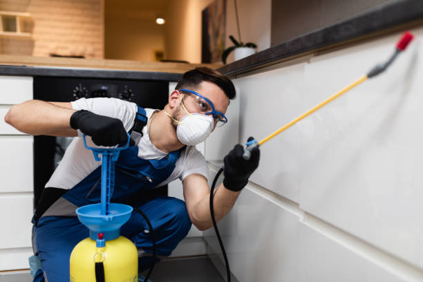 Best Pest Control Near Me  in Carbondale, PA