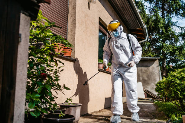 Best Bed Bug Extermination  in Carbondale, PA
