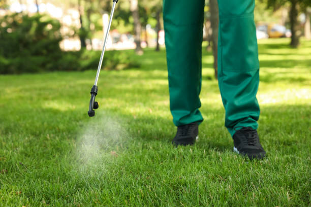 Best Best Pest Control Companies  in Carbondale, PA