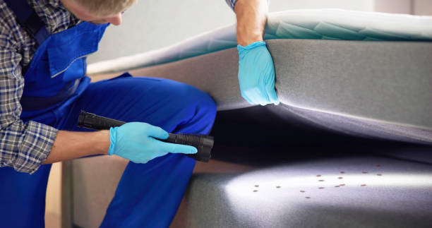 Best Rat Extermination Near Me  in Carbondale, PA