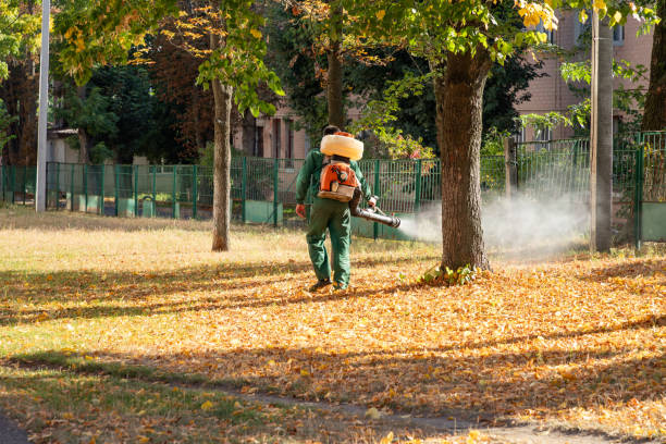 Best Termite Control Services  in Carbondale, PA