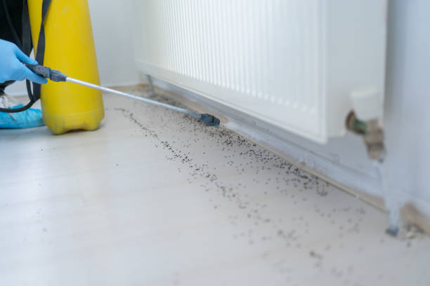 Best Residential Pest Control  in Carbondale, PA