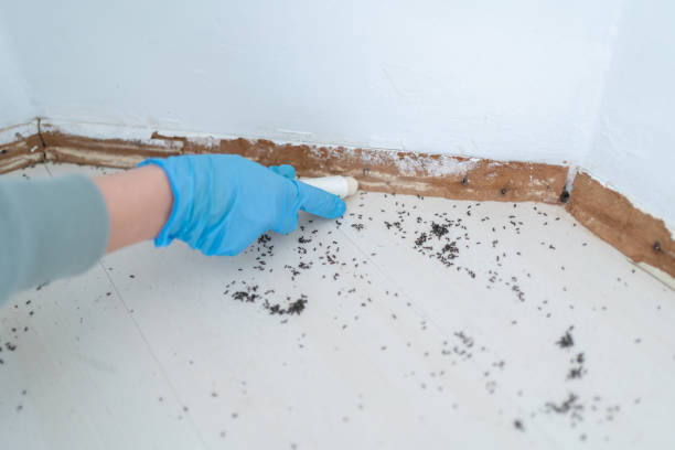 Best Pest Removal Services  in Carbondale, PA