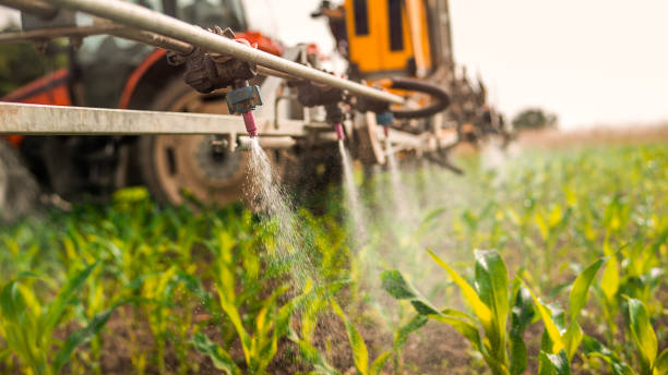 Best Commercial Pest Control Services  in Carbondale, PA